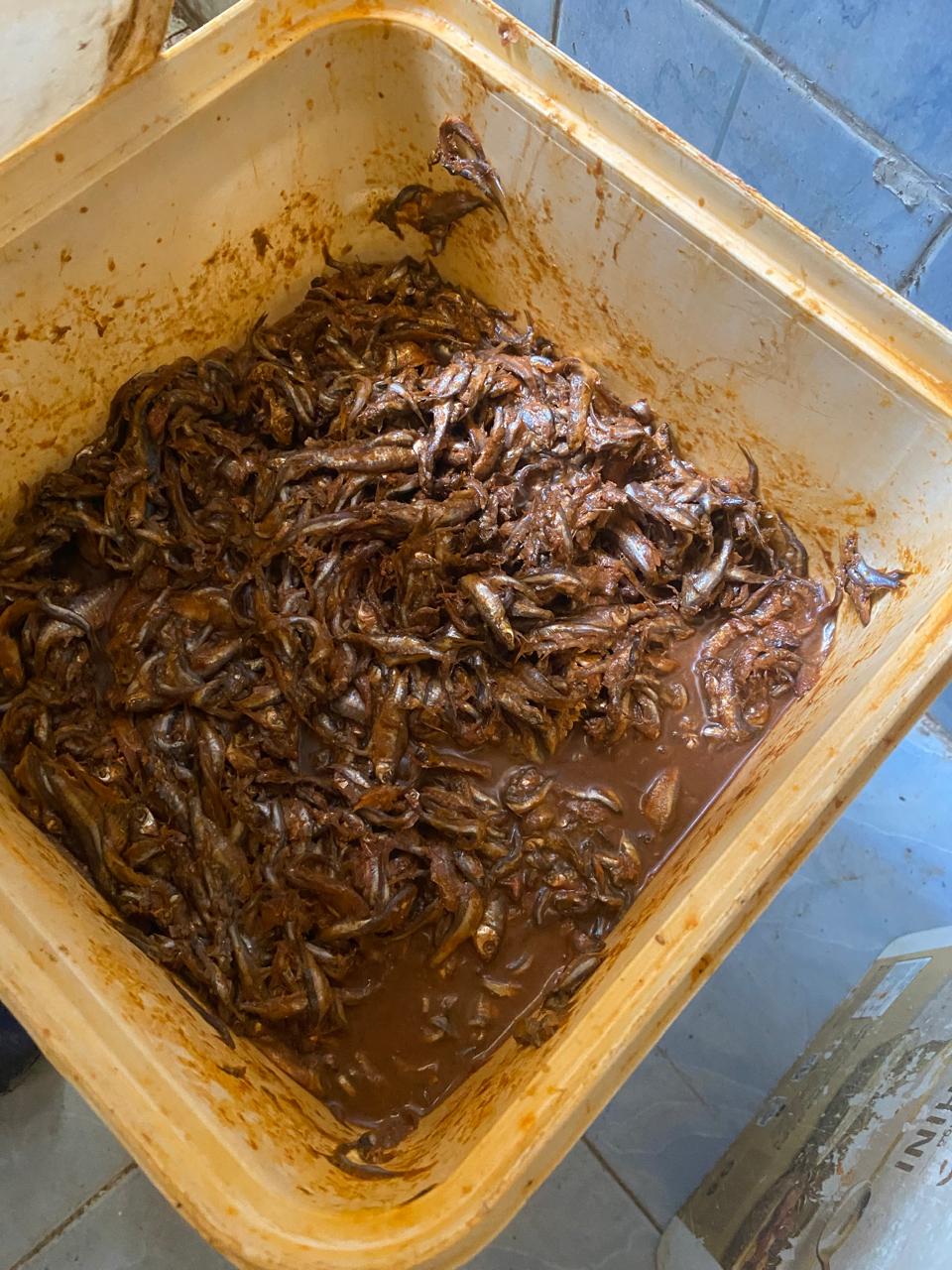 slh_ llgpm jl hu]hlih 